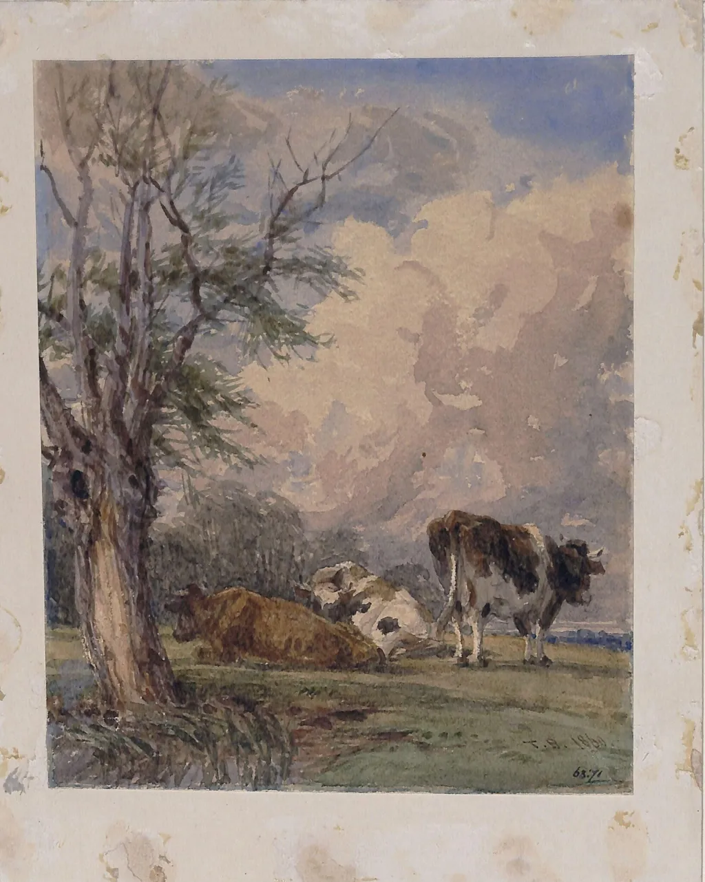 A Study of Cattle, by Thomas Baker, watercolor, 1860