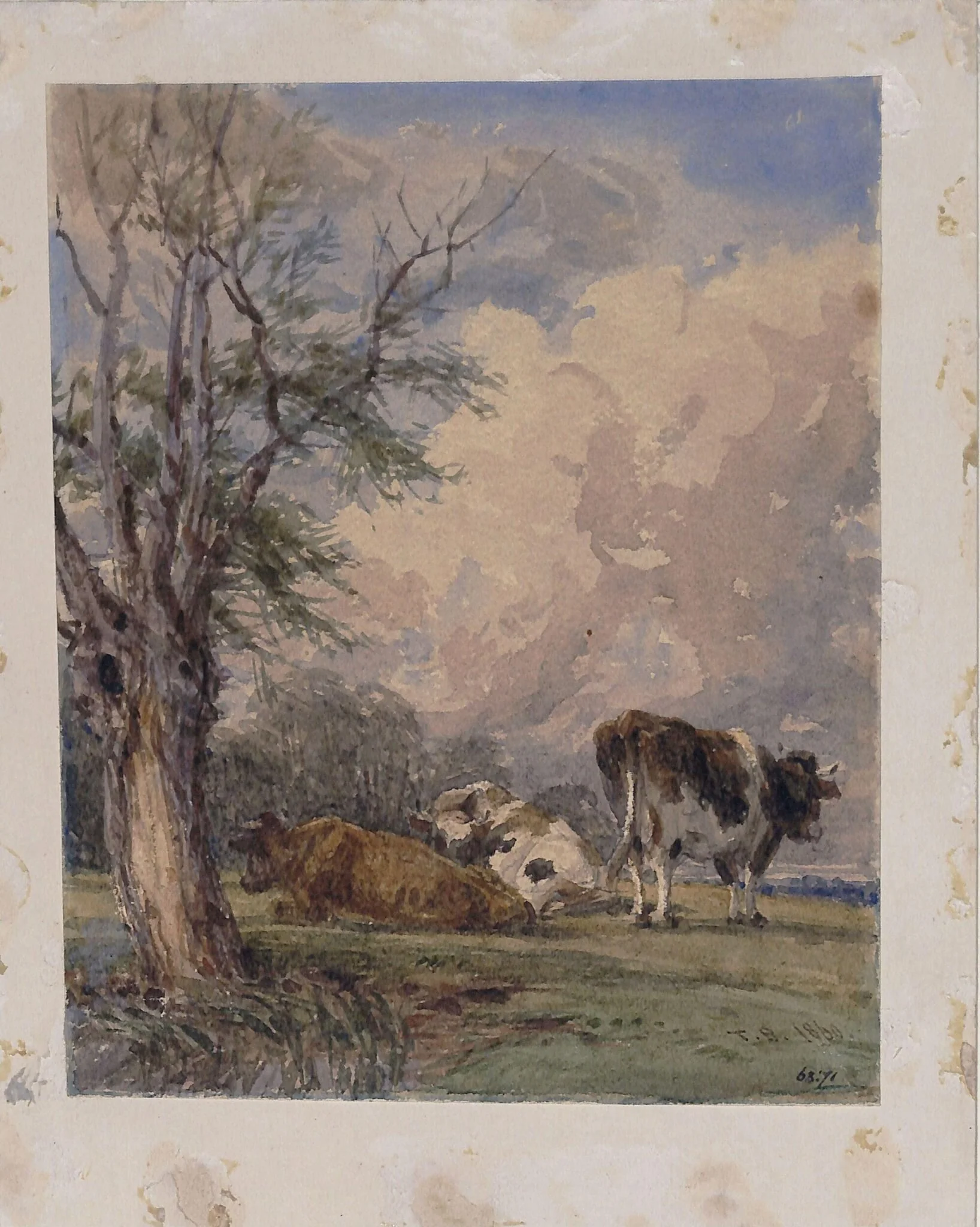 A Study of Cattle, detail