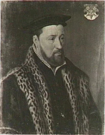 Portrait of Adriaan van Blyenburg (1510-1573), detail