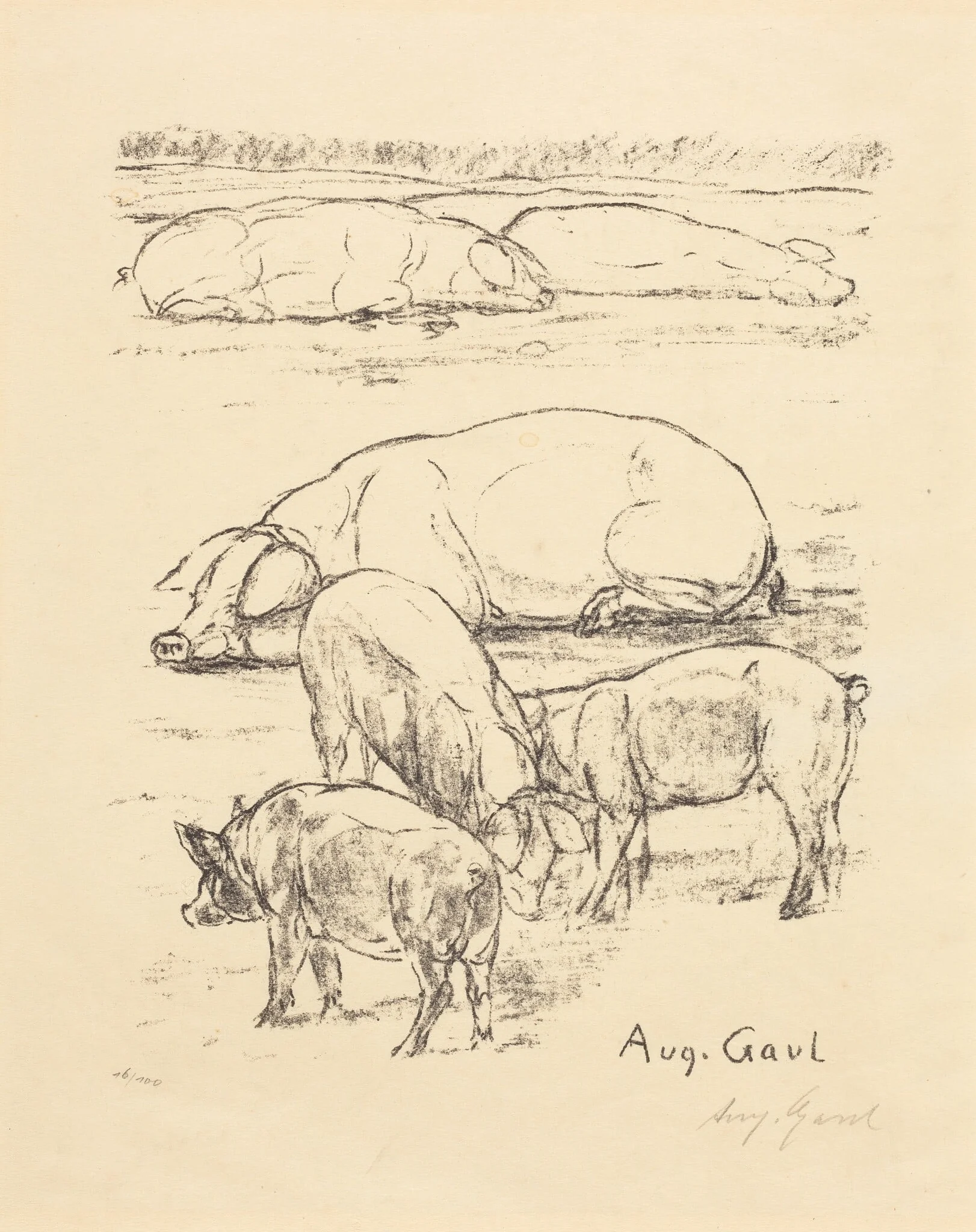 Pigs, detail