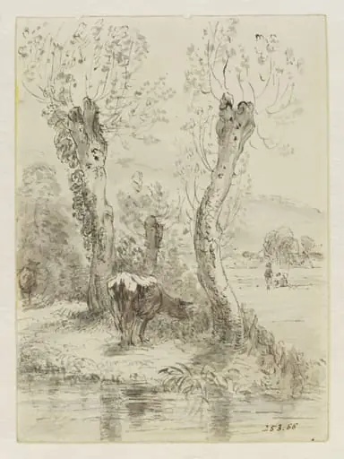 Cows grazing, Salisbury, by John Constable, watercolor, 13