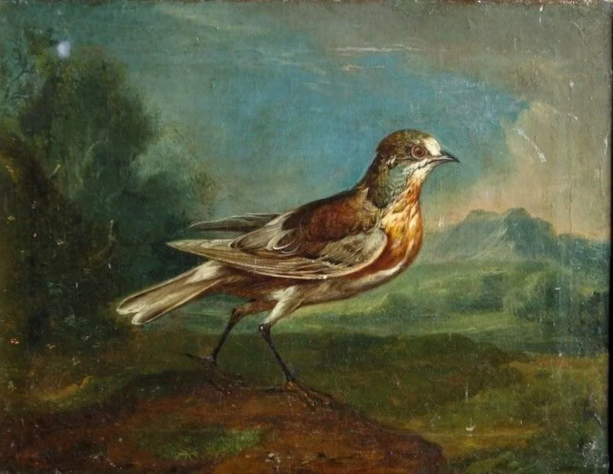 Cintezoi ; pandant: Canar, detail
