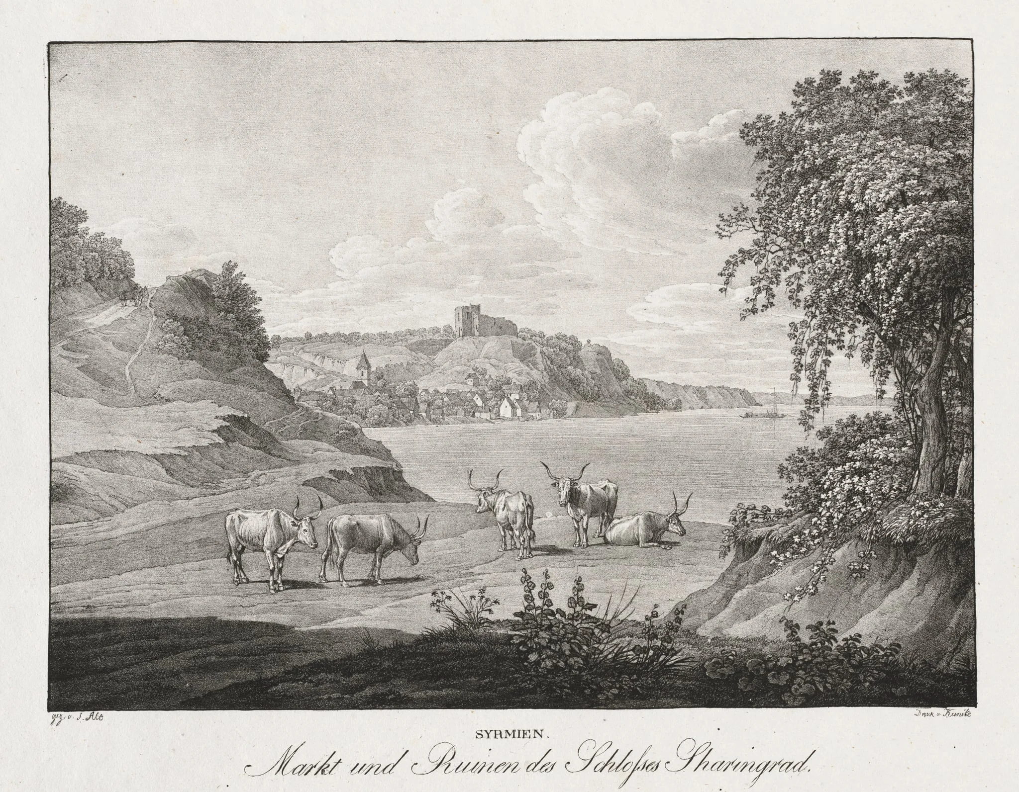 Syrmien, Markt und Ruinen des Schlosses Sharengrad, detail