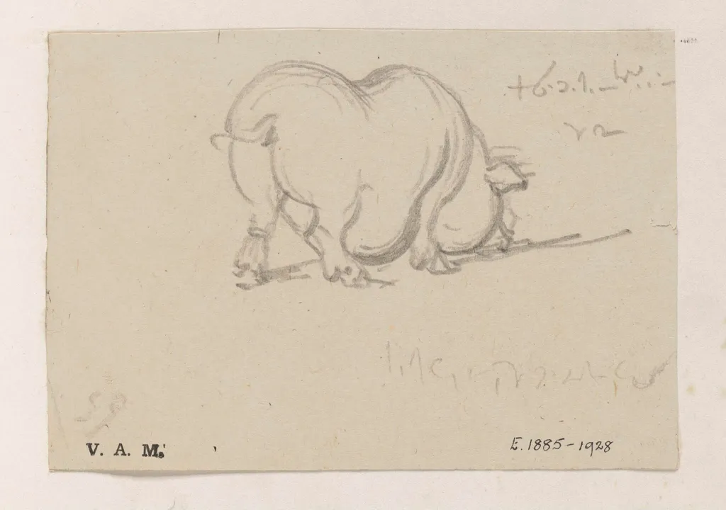 A study of a pig, by George Chinnery, 19