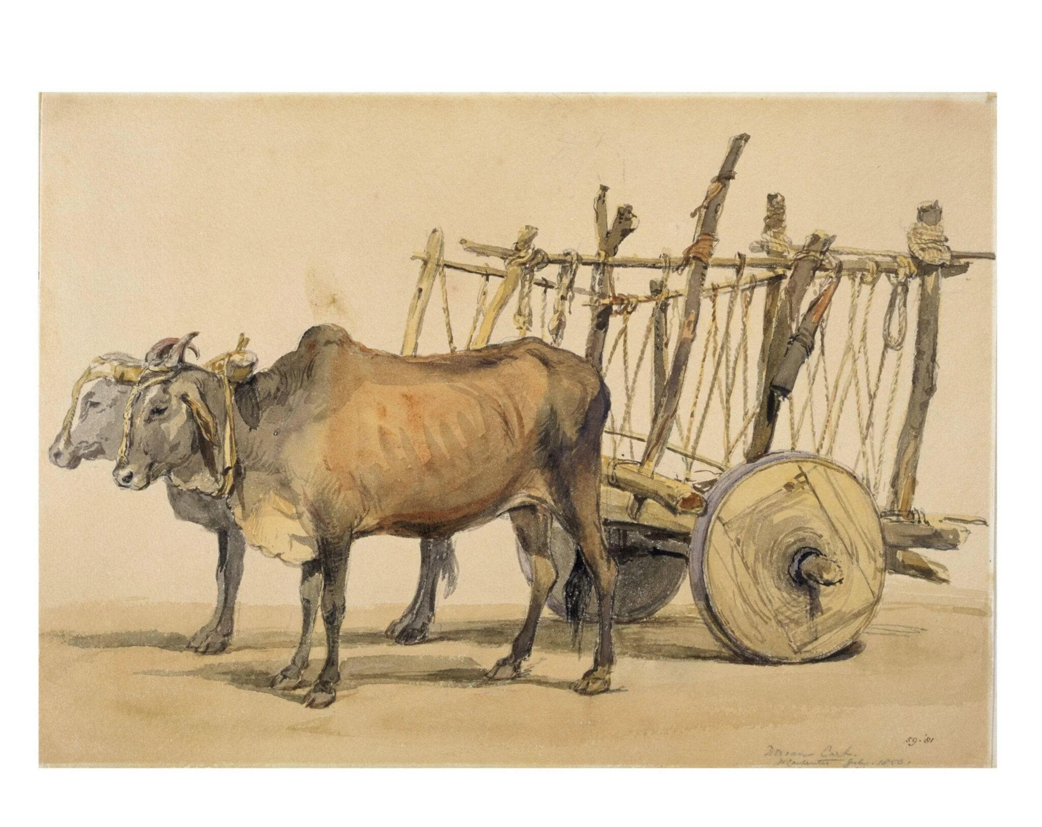 Deccani bullock cart, detail