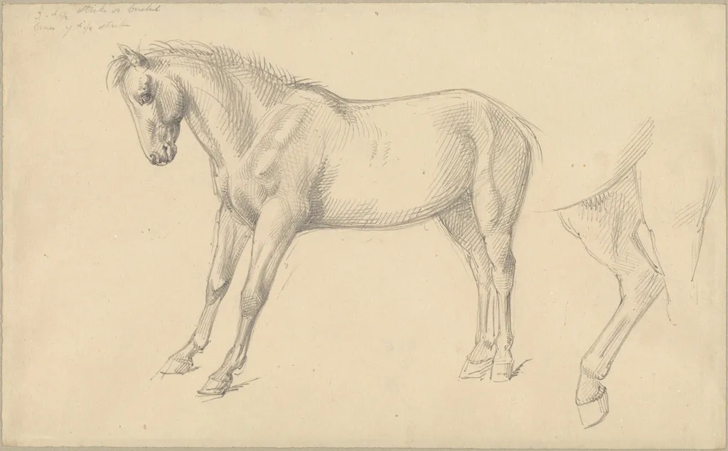 Studies of a Pony, by William Strutt, graphite, 1870