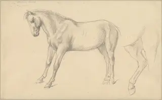 Studies of a Pony, by William Strutt, graphite, 1870