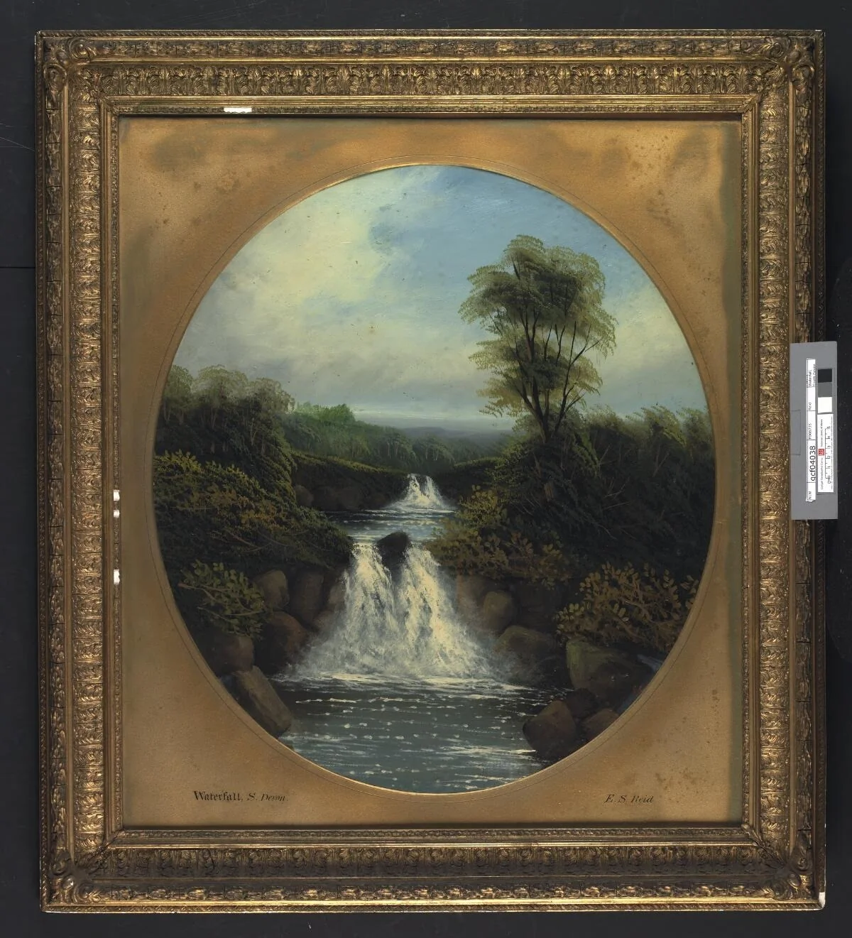 Waterfall, South Devon, detail