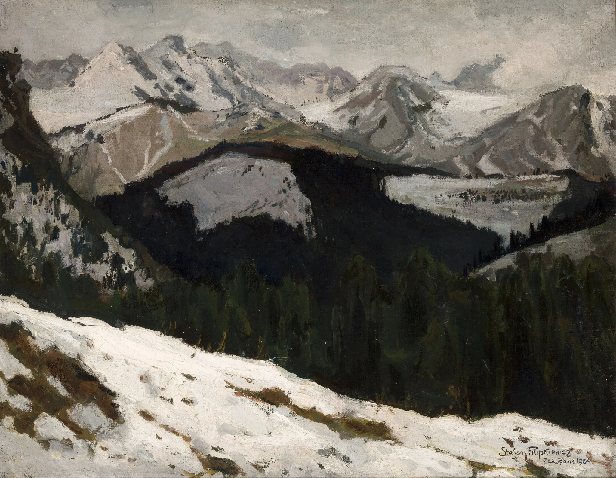 Thaw in the Tatra Mountains, detail