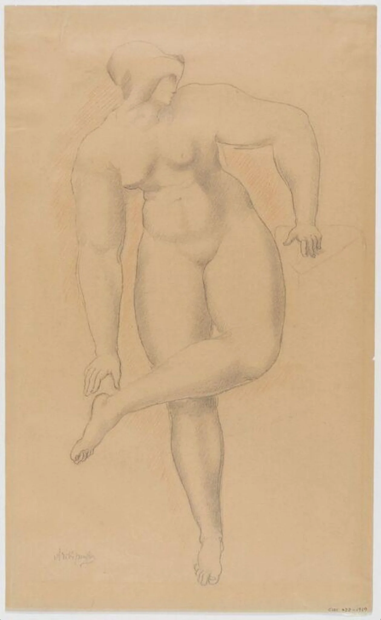 Study of the female nude, detail