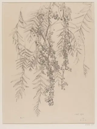 Untitled, by Edward Ingram Taylor, 21