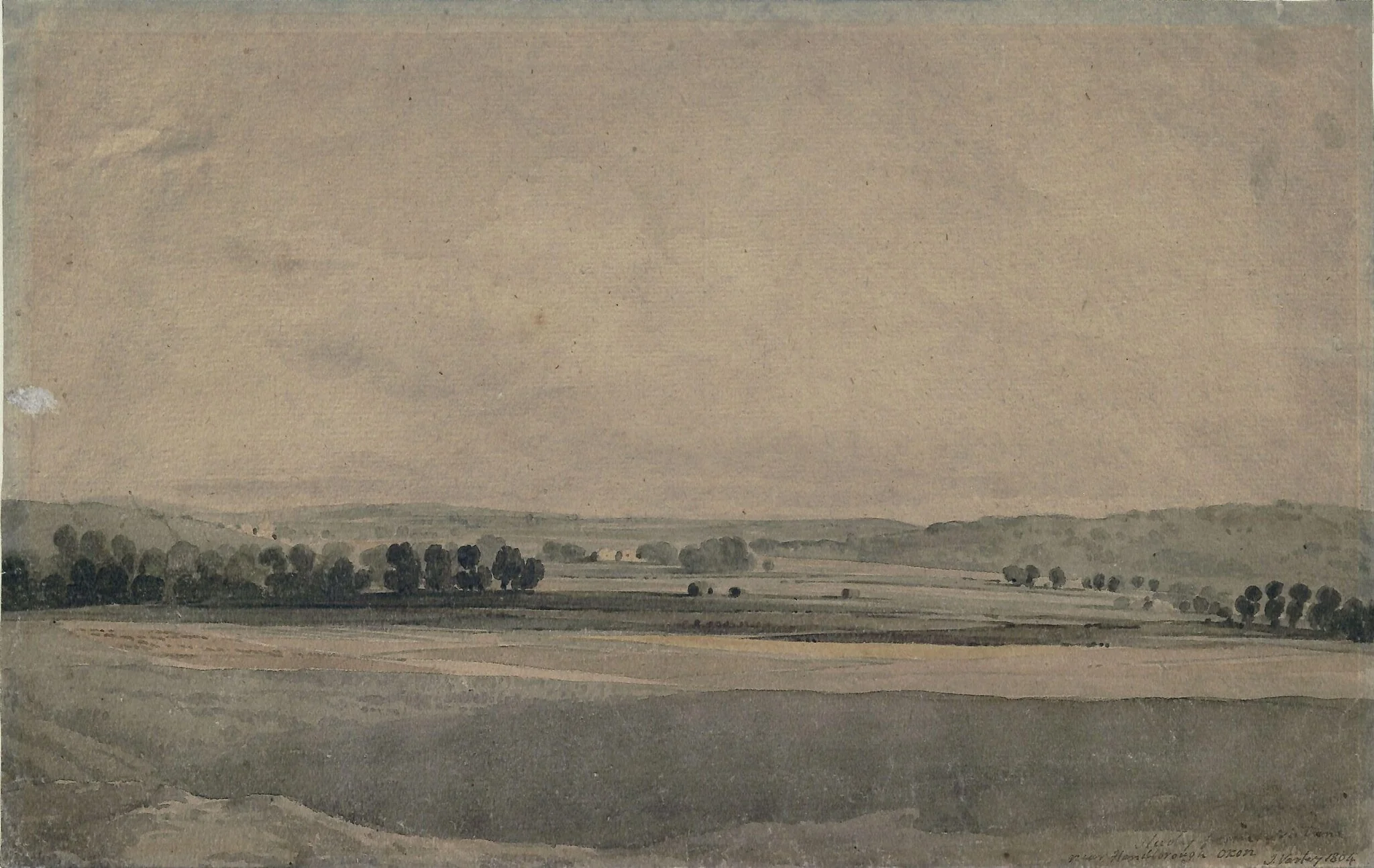 Study from nature near Handborough, Oxfordshire, detail