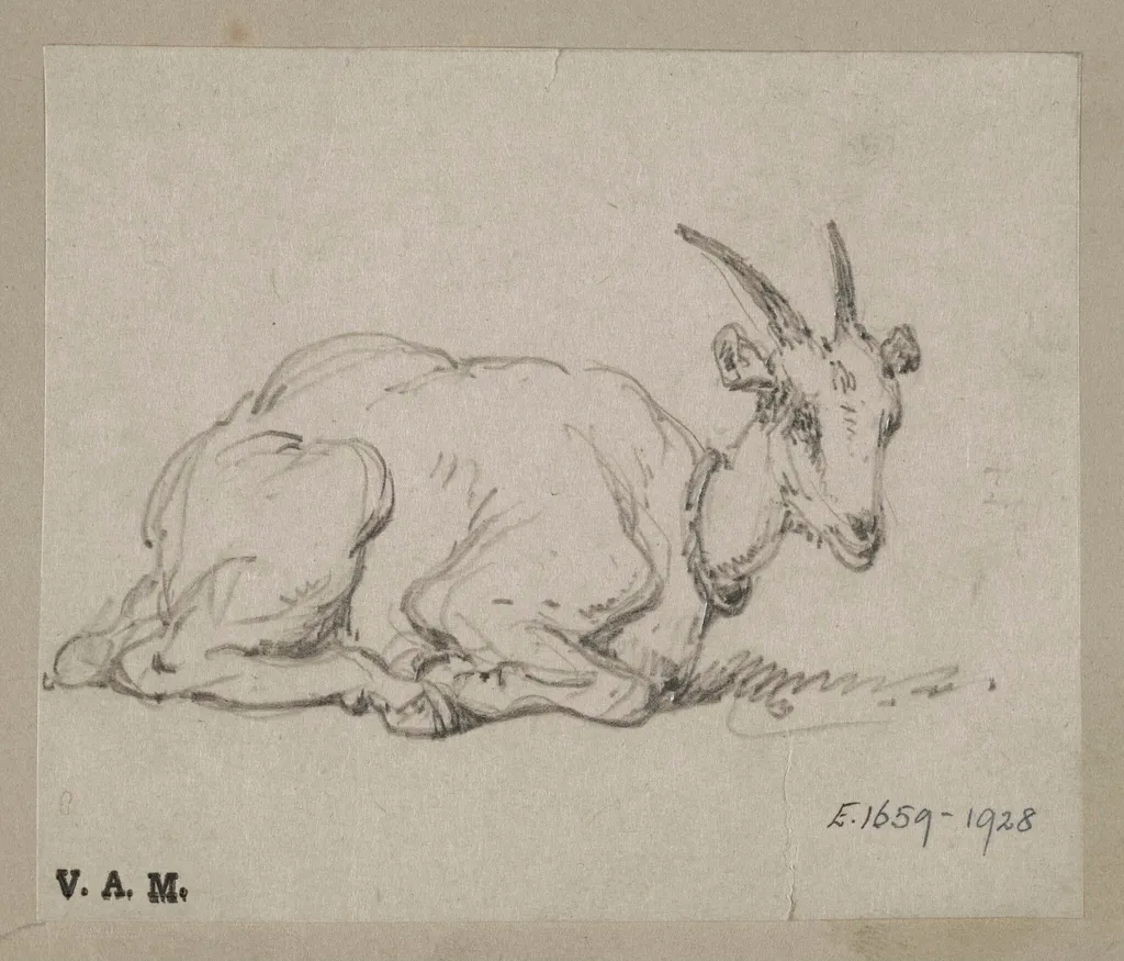 A goat on its haunches, by George Chinnery, 19
