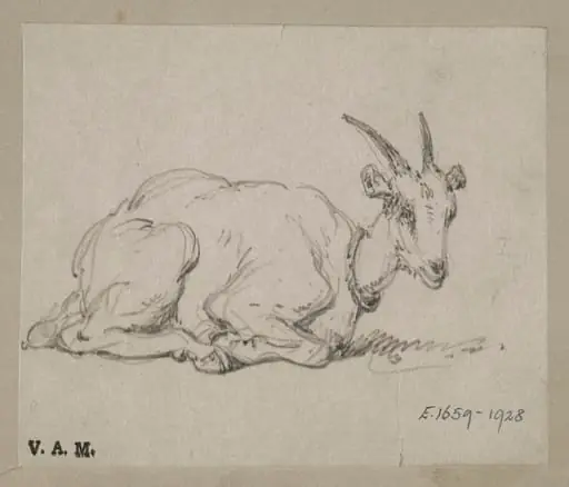 A goat on its haunches, by George Chinnery, 19
