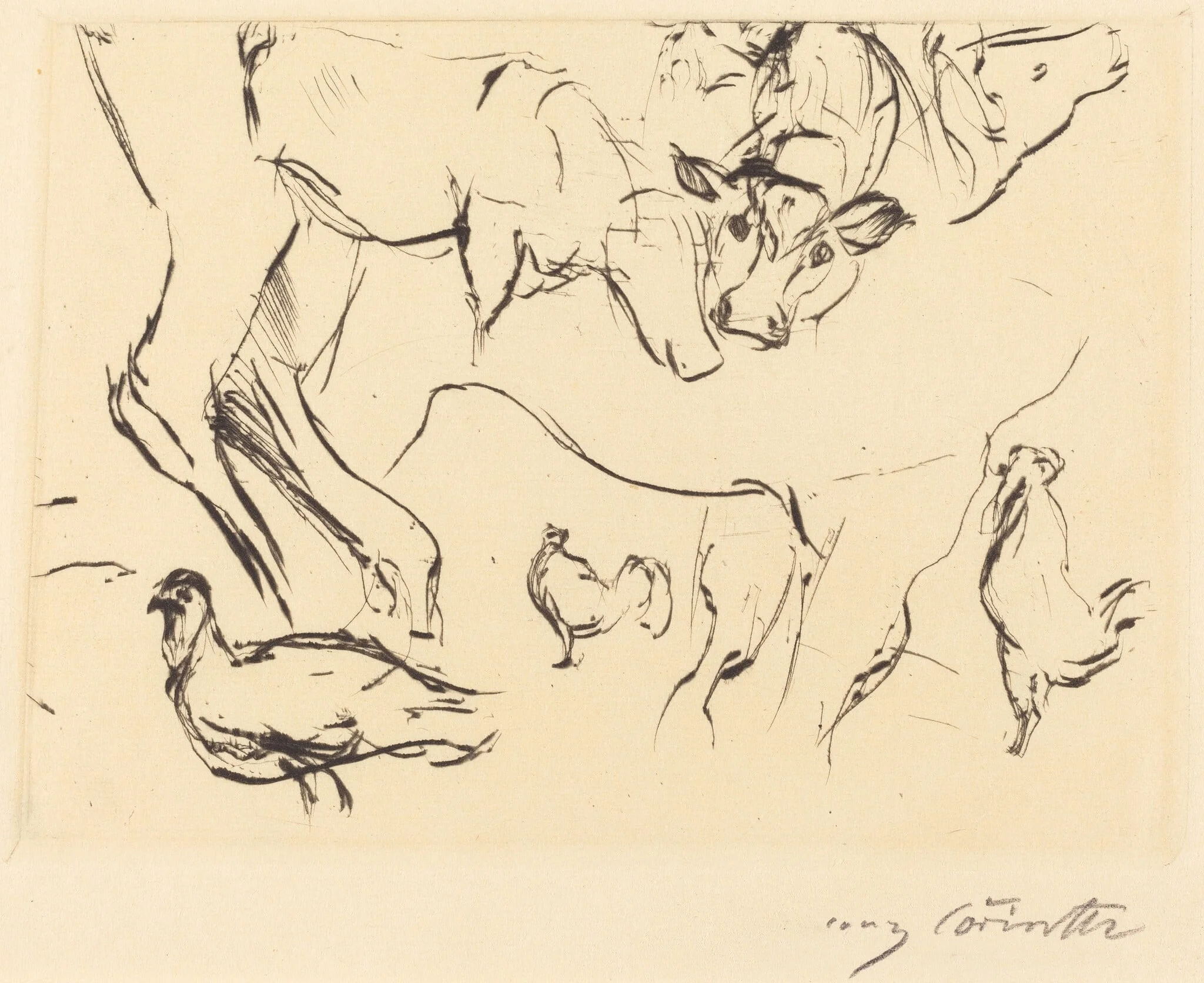 Verschiedene Tierstudien (Animal Studies), detail