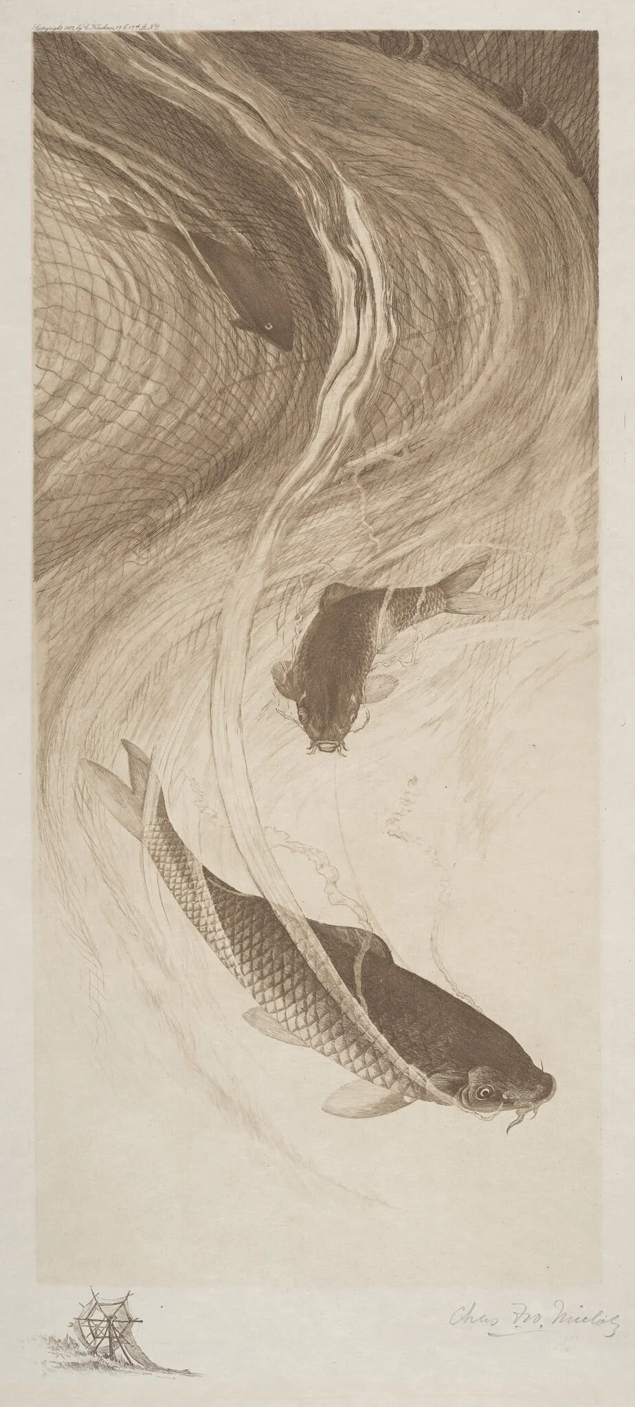 In the Meshes, detail