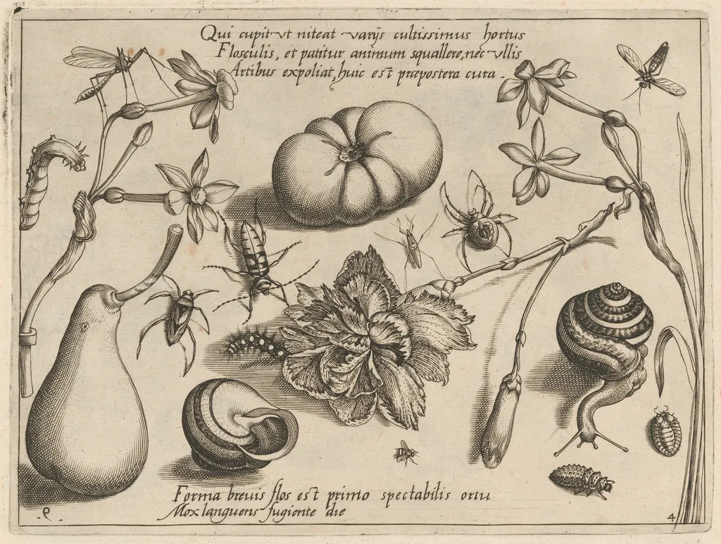 Archetypa studiaque patris Georgii Hoefnagelii [Part 4, Plate 9], by Jacob Hoefnagel, ink, 1592