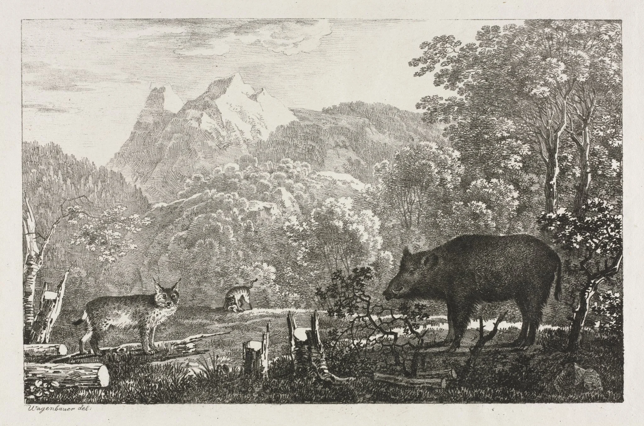 Wild Boar, Wildcat and Lynx, detail