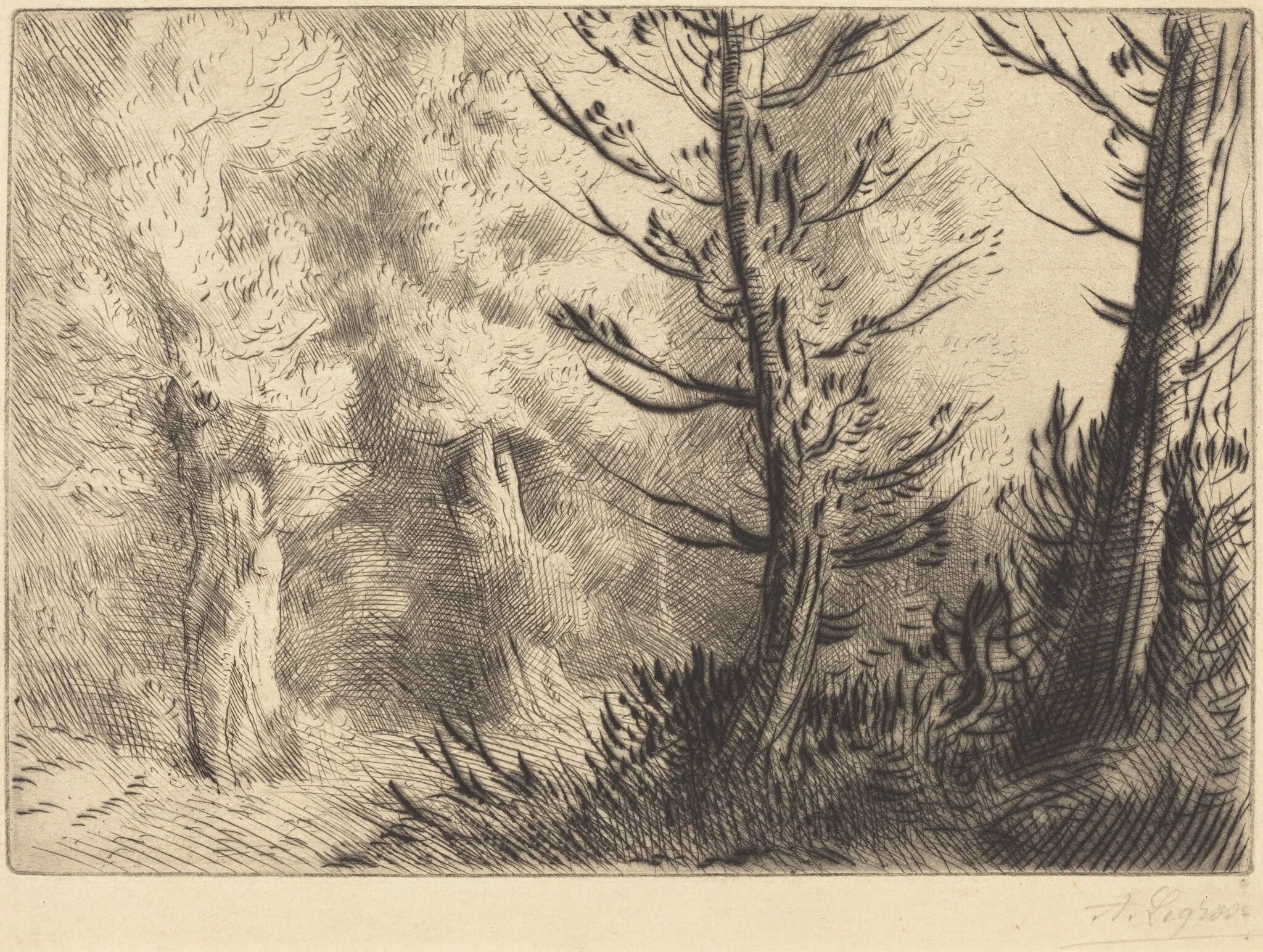 In the Forest of Fontainebleau (Dans le foret de Fontainebleau), detail