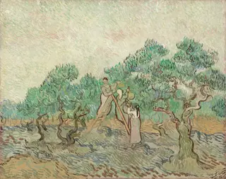 The Olive Orchard, by Vincent van Gogh, oil, 1889