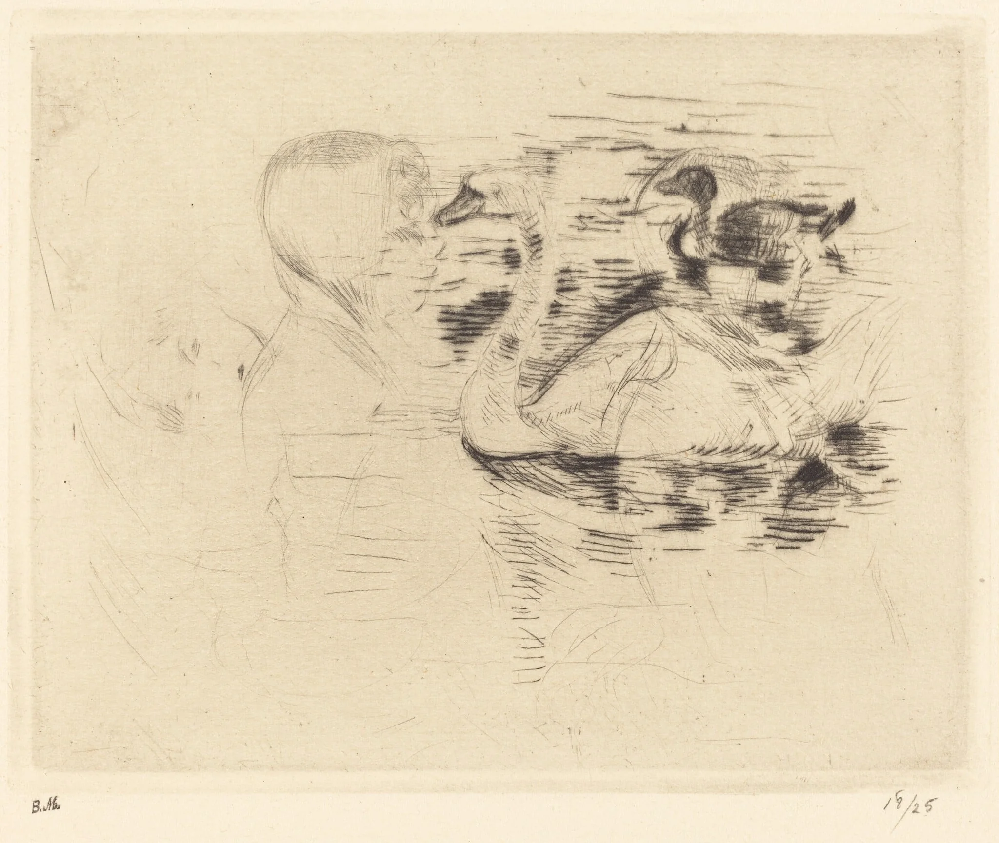 Swans at Stagnant Water, detail