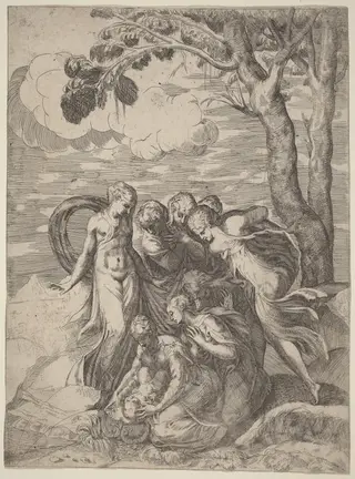 The Finding of Moses, by Battista Angolo del Moro, ink, 1544