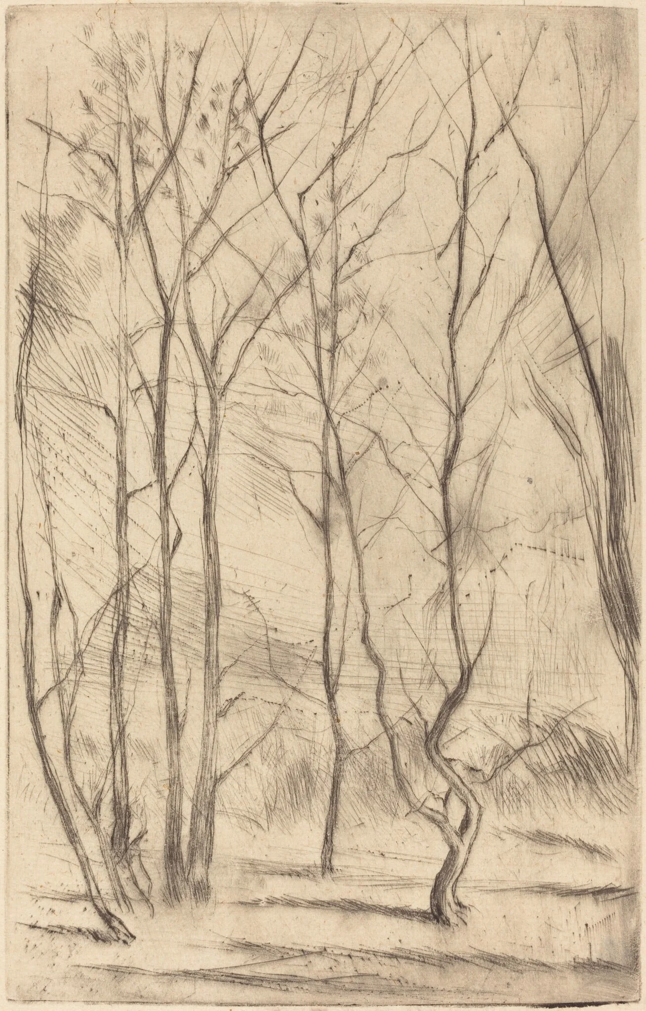 The Dam Wood, detail