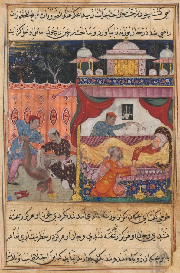 The monkey slain, his blood to be used as medicine for the ailing prince he has bitten, from a Tuti-nama (Tales of a Parrot): Fifth Night, detail