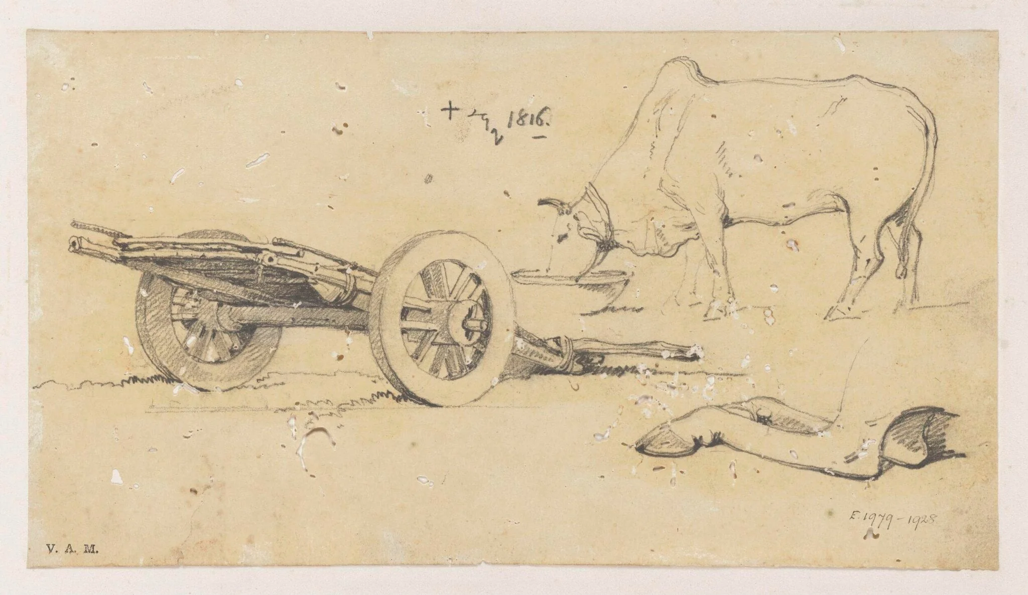 An Indian bullock and cart, detail