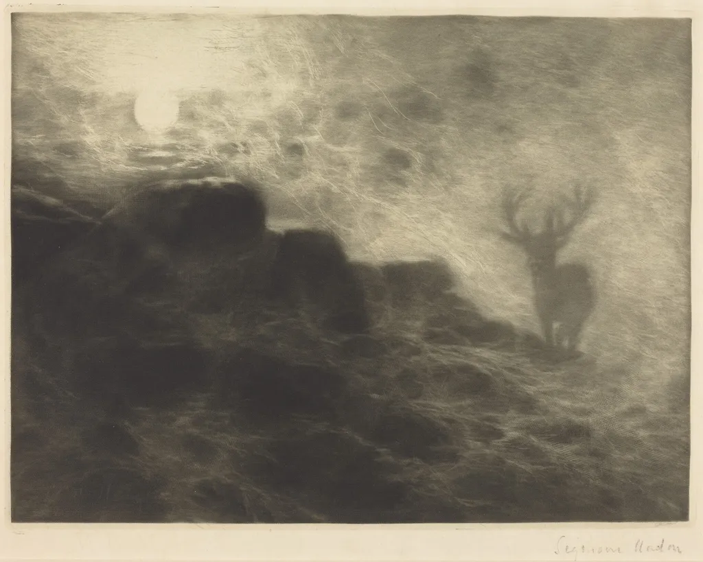 An Early Riser, by Francis Seymour Haden, ink, 1897