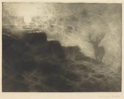 An Early Riser, by Francis Seymour Haden, ink, 1897
