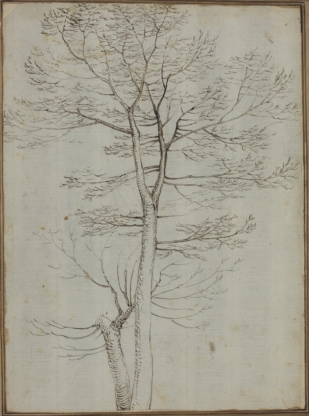 Bare Tree [verso], by Fra Bartolommeo, ink, 1494