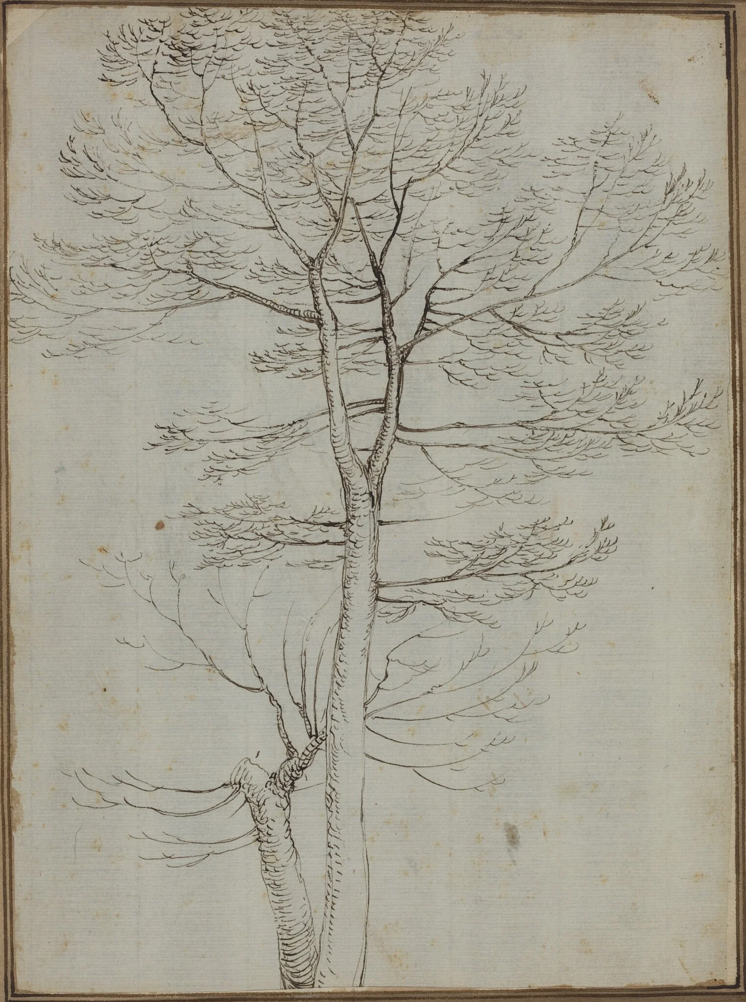 Bare Tree [verso], detail