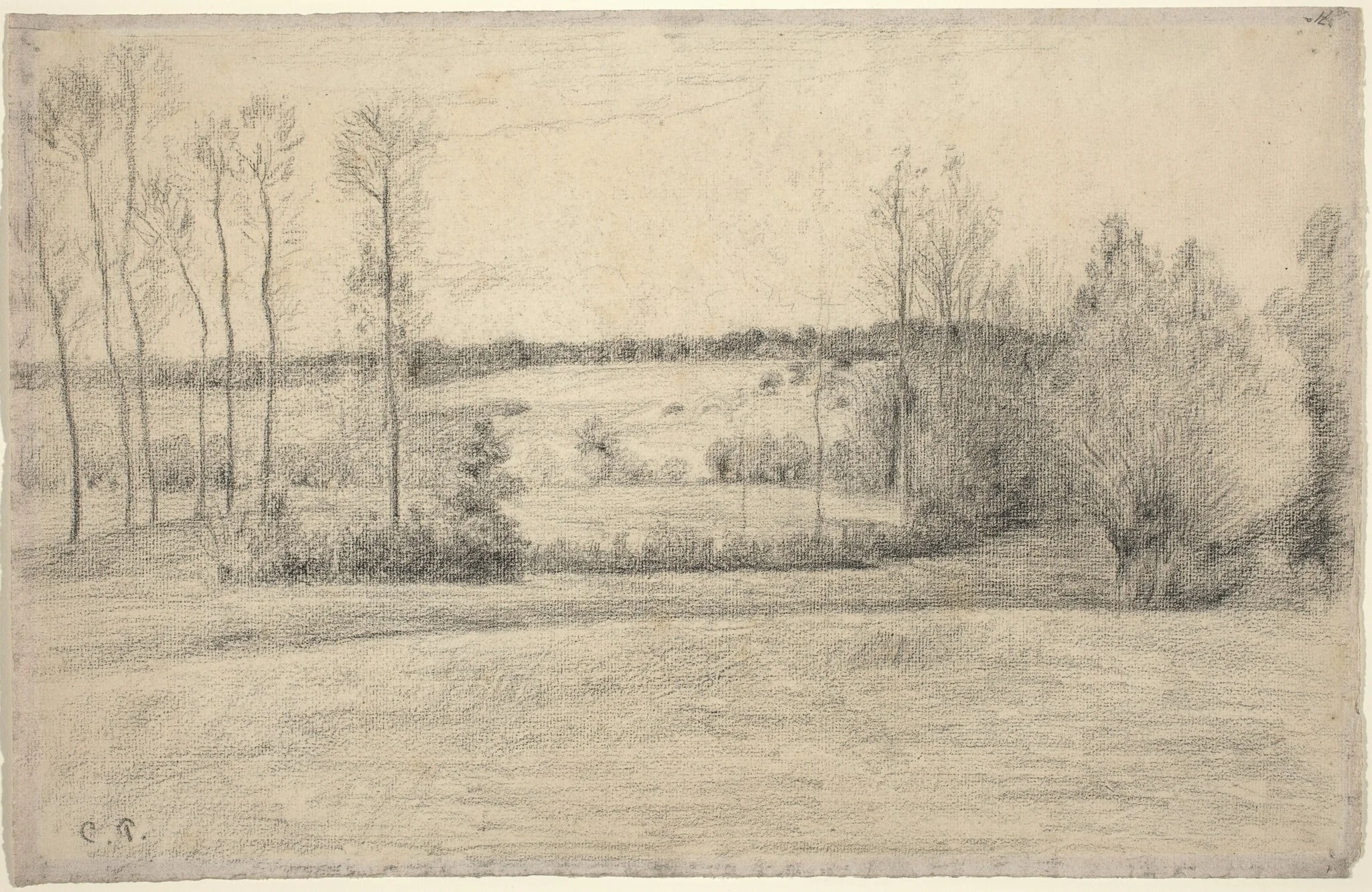 Trees and Meadows at Eragny, detail