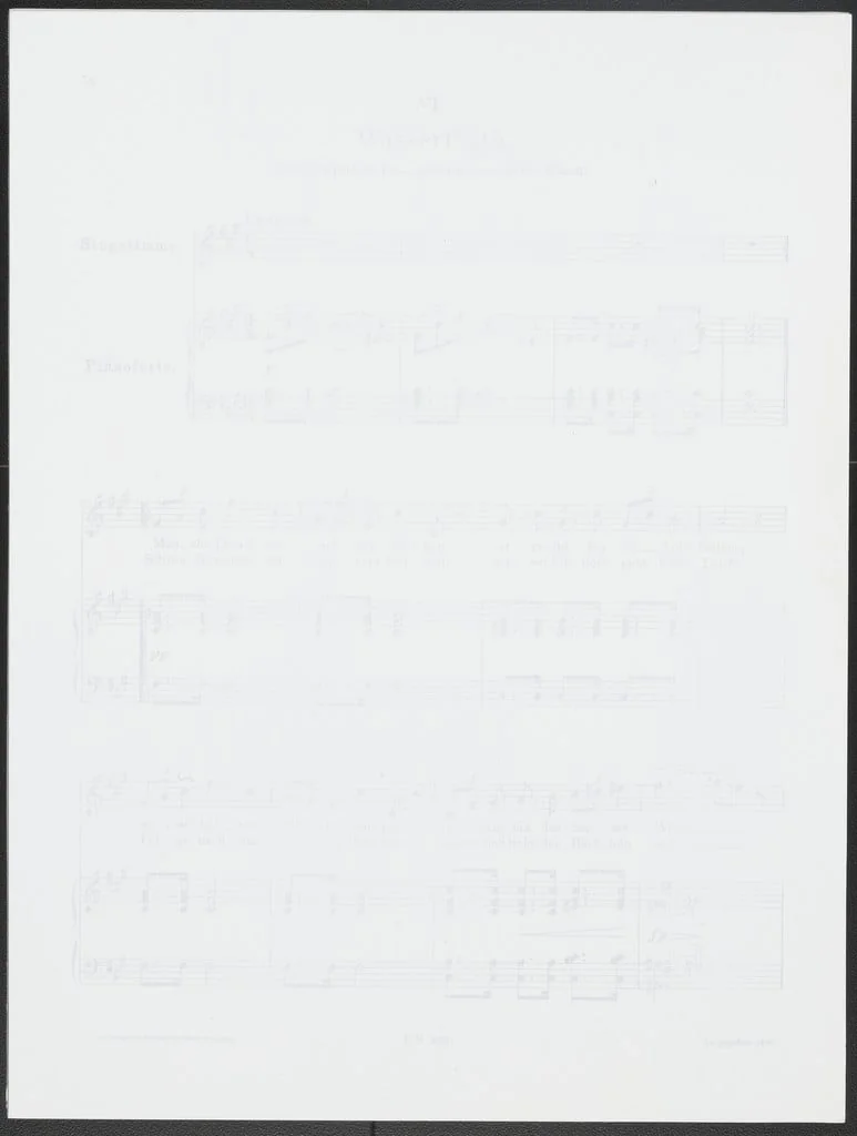Untitled, detail