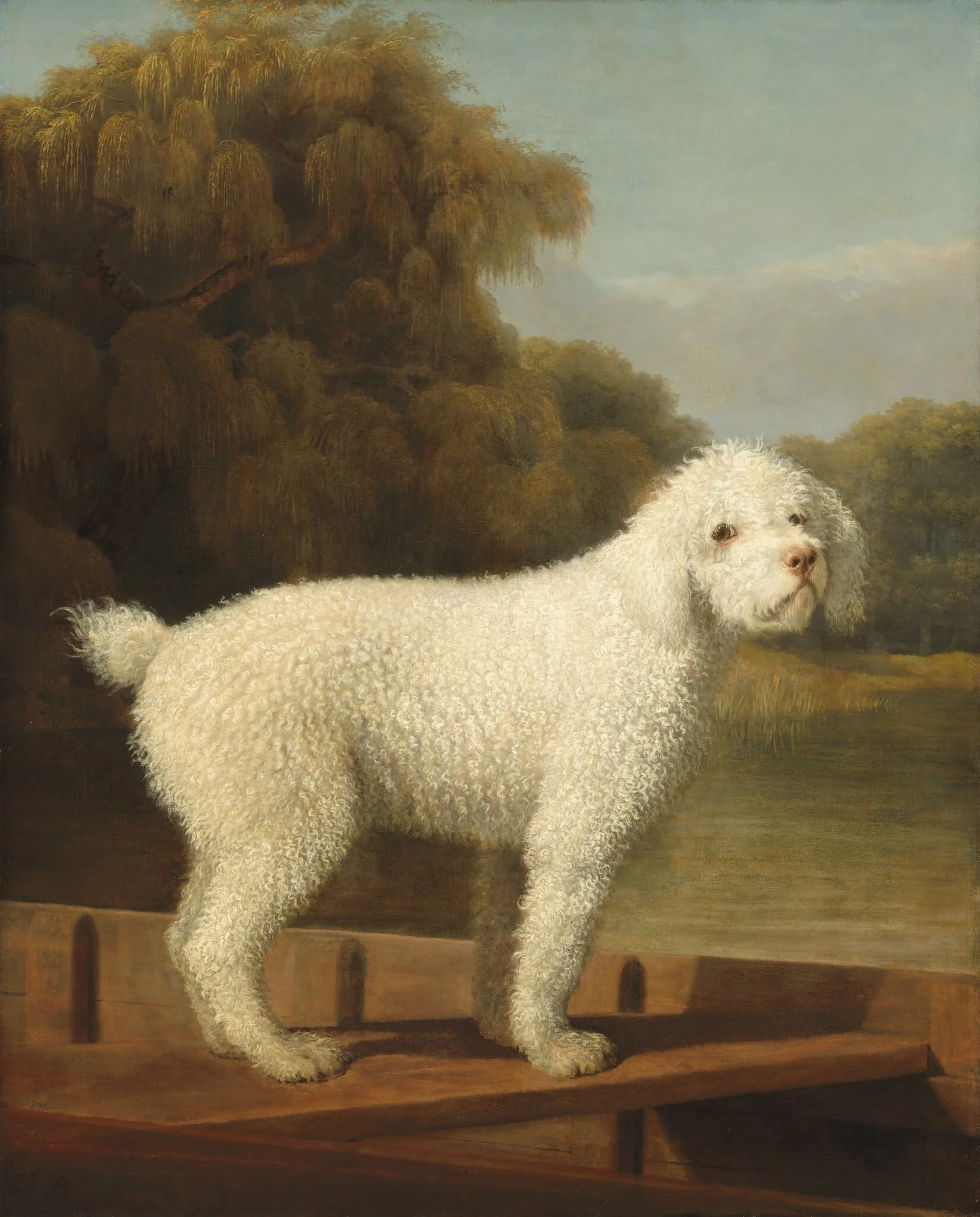 White Poodle in a Punt, detail