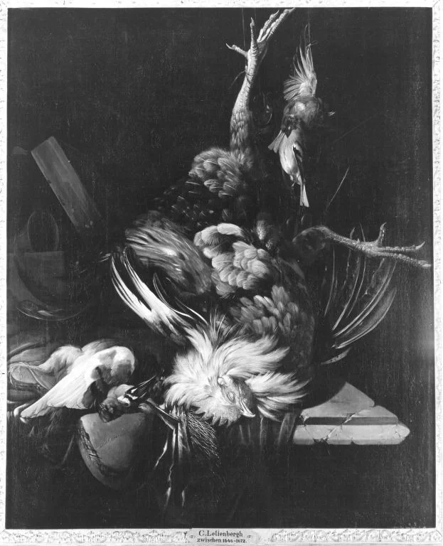 Toter Hahn, detail