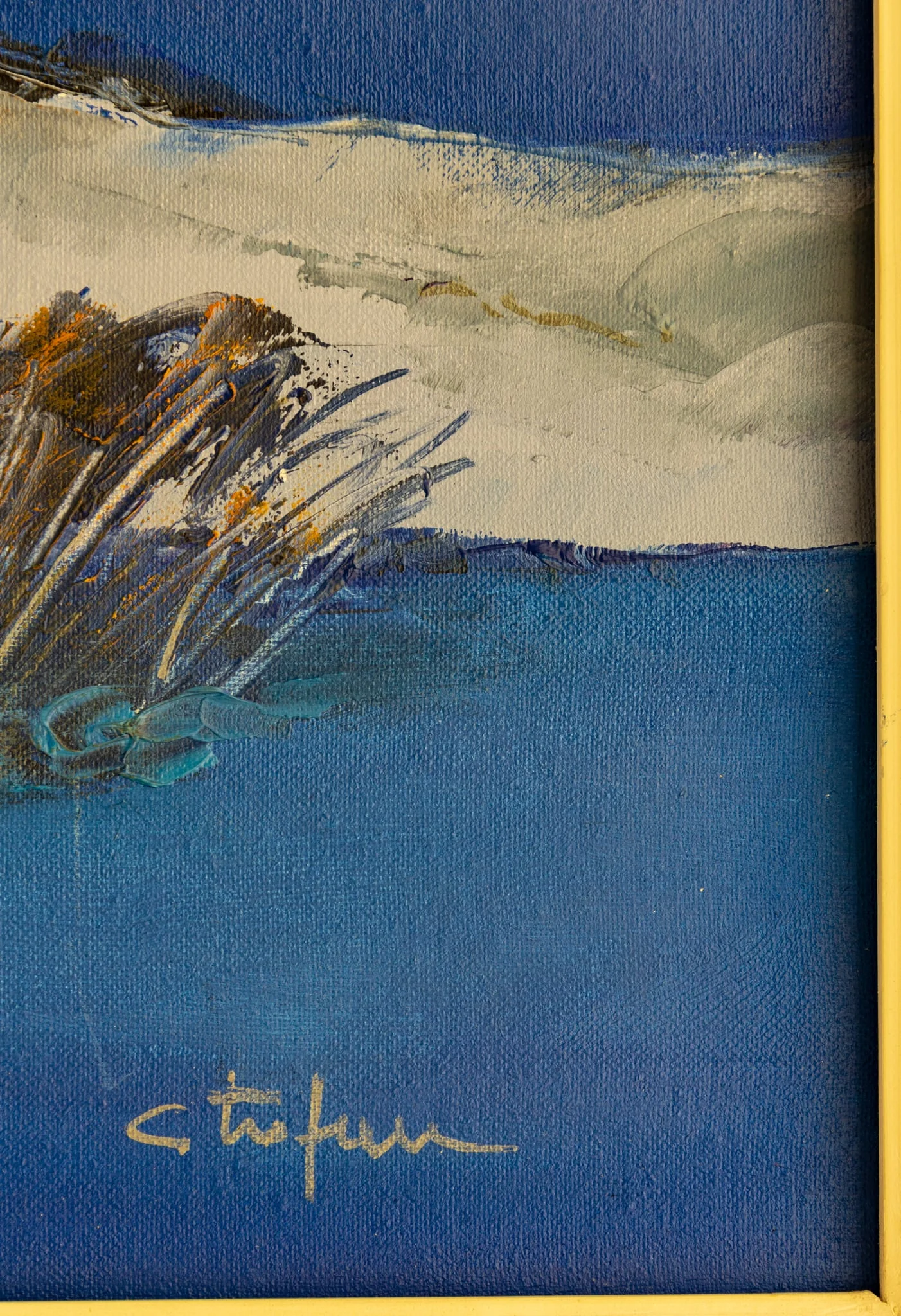 Insula, detail