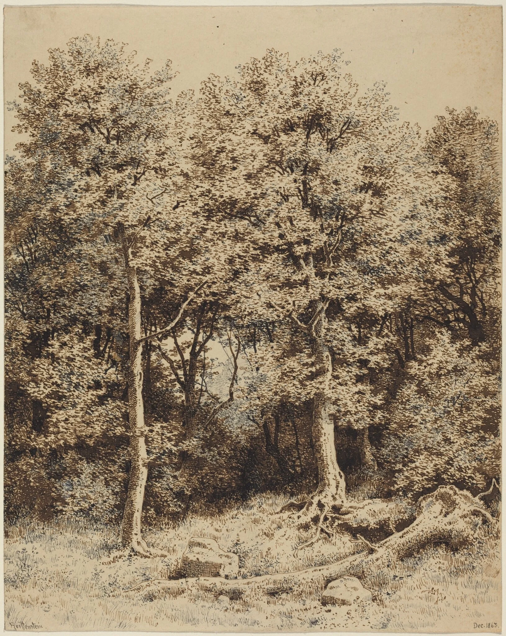 A Copse of Trees, detail