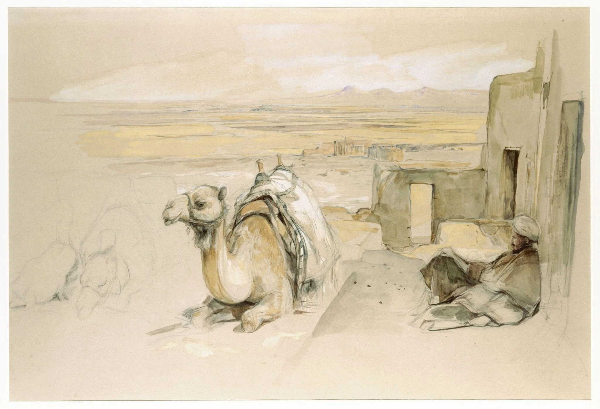 Camels, West Thebes, Egypt, detail