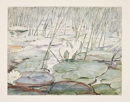 Waterlilies, by Beatrix Potter, watercolor, 1906