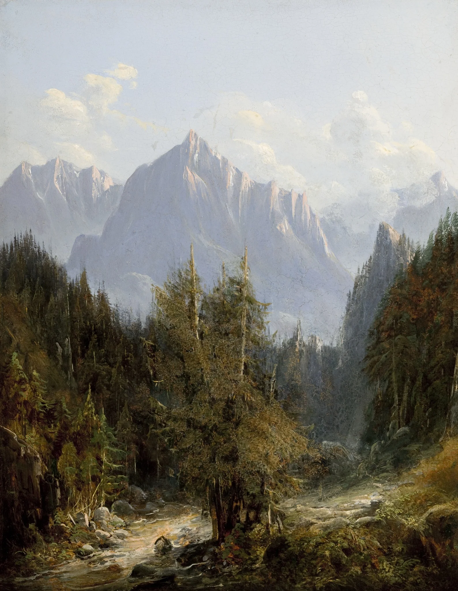 Road to the Morskie Oko Lake, detail