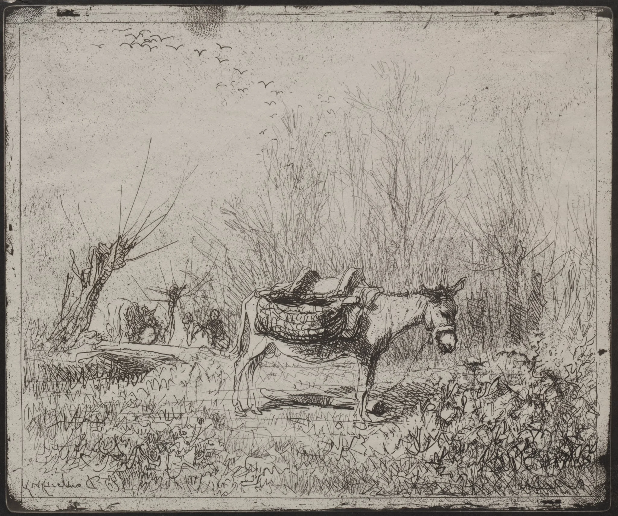 A Donkey in the Field, detail