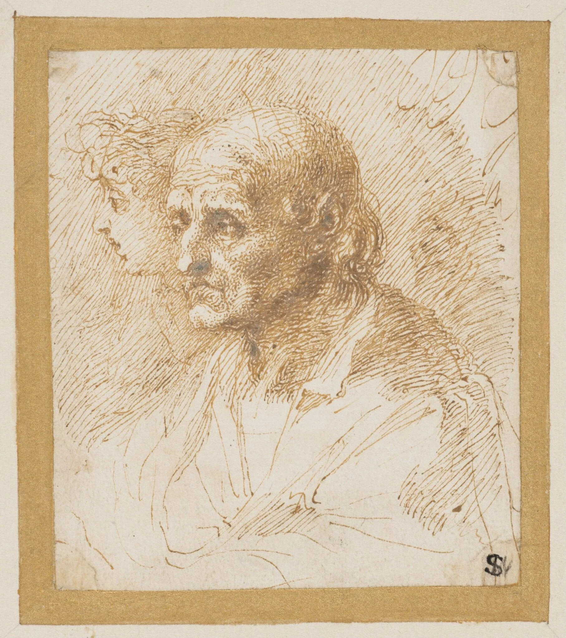 Study of the head of an old man, detail