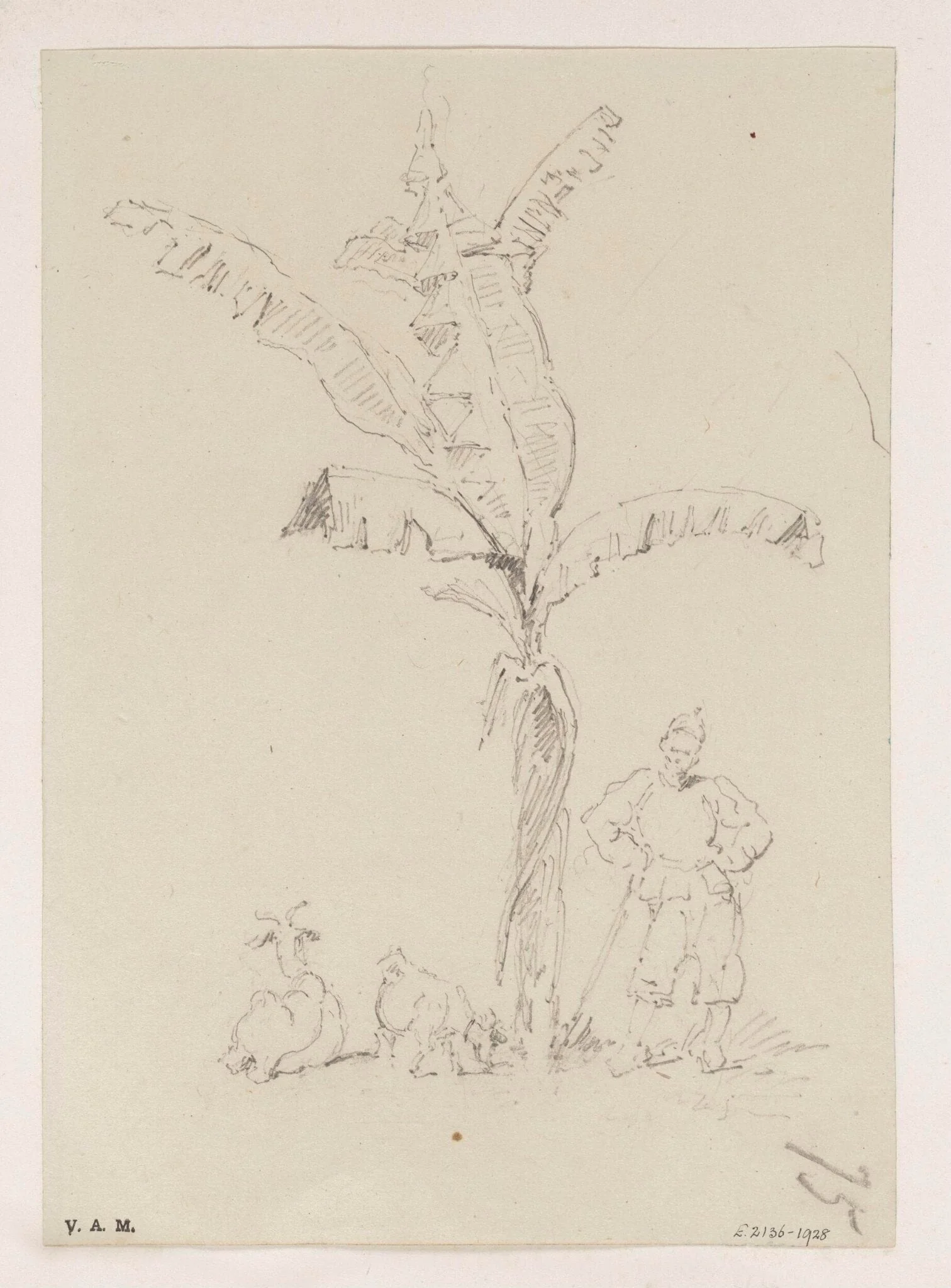 A Chinese man and two goats beneath a banana palm, detail