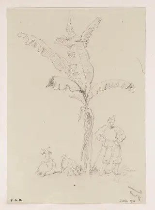 A Chinese man and two goats beneath a banana palm, by George Chinnery, 19