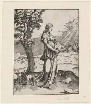 The Cumaen Sibyl, by Agostino dei Musi, ink, 1516