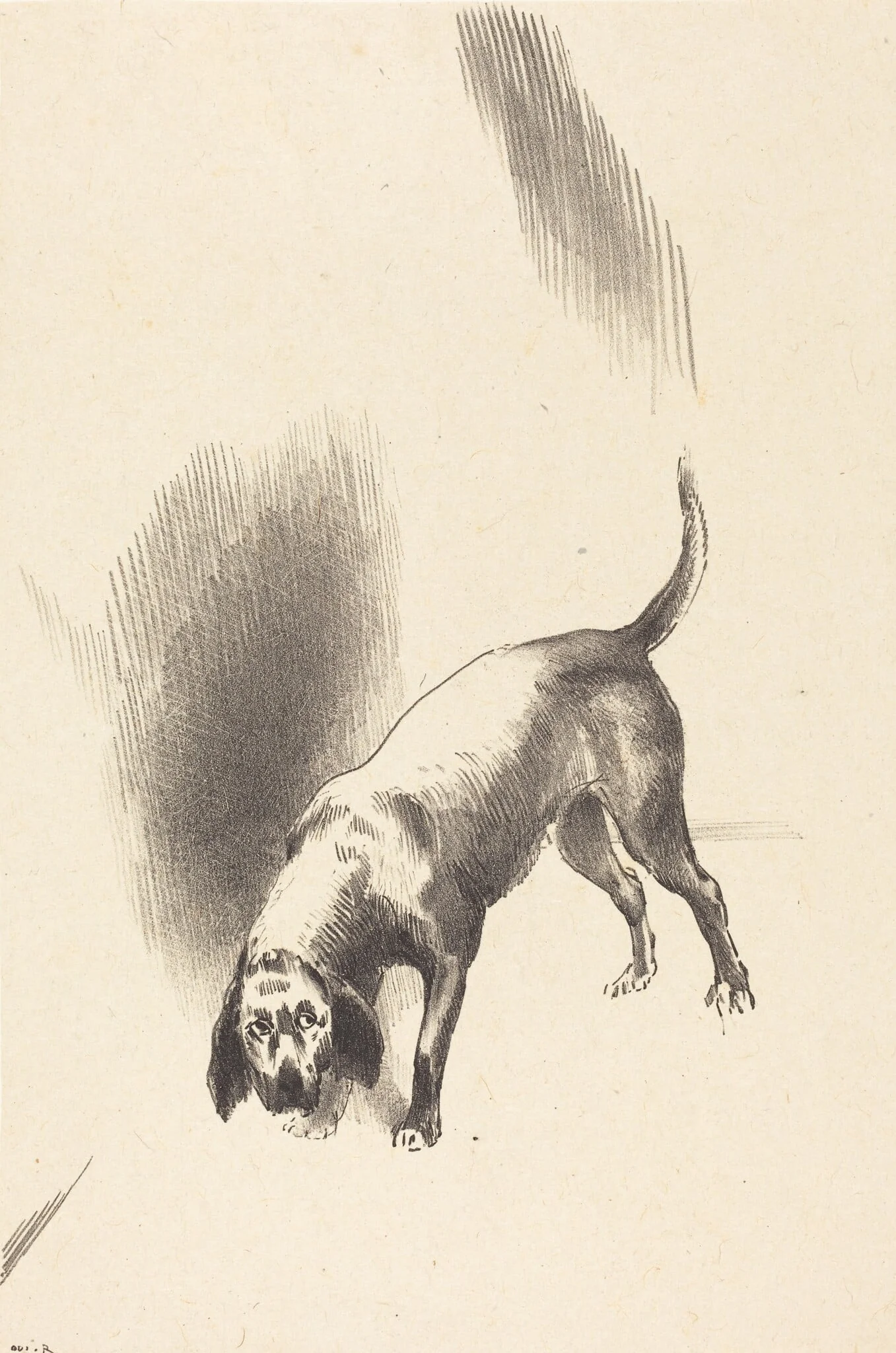 The Dog, detail
