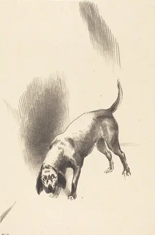 The Dog, by Odilon Redon, ink, 1896