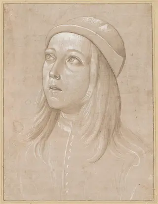 Head of a Youth Looking Up, by Pinturicchio, gouache, 1485